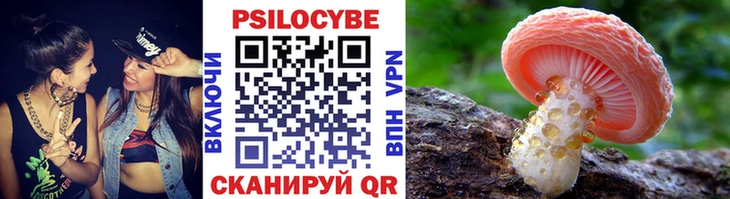 как найти   Приволжский  Галлюциногенные грибы мухоморы 